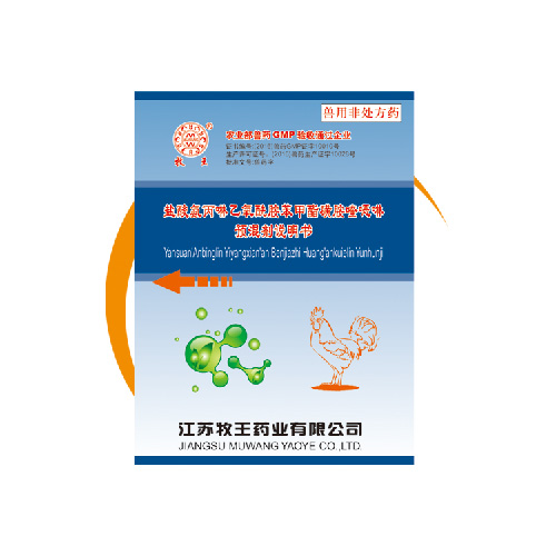 ���ᰱ������������������Ԥ���