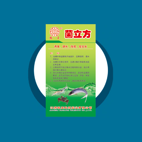 ������1000g/��