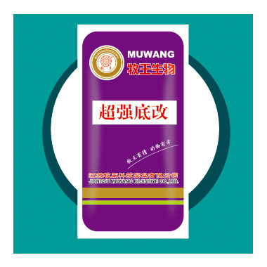 ��ǿ�׸Ĵ�װ