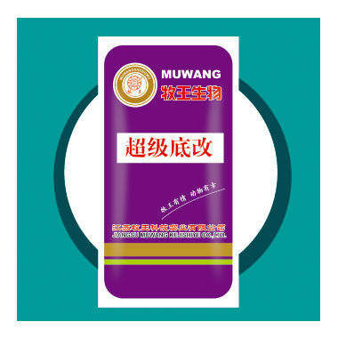 �����׸Ĵ�װ