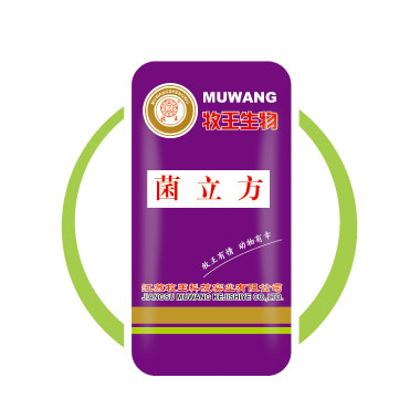 ��������װ